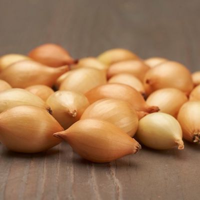 Лук-севок Купидо (10-21мм) Лук-севок Купидо (10-21мм) фото